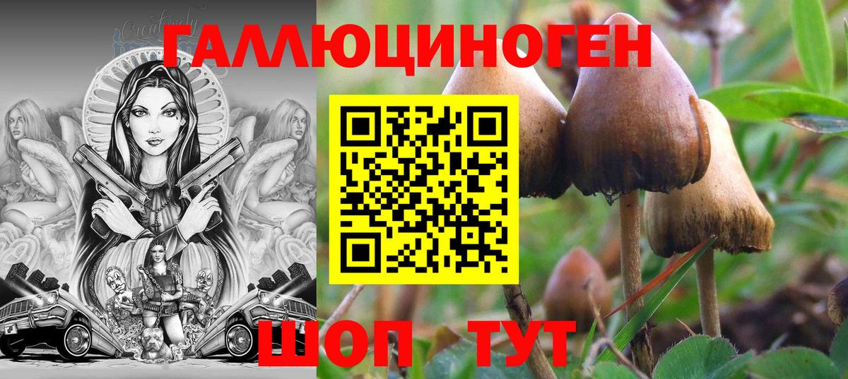 Соль-Илецк  Галлюциногенные грибы прущие грибы  Вход с VPN 