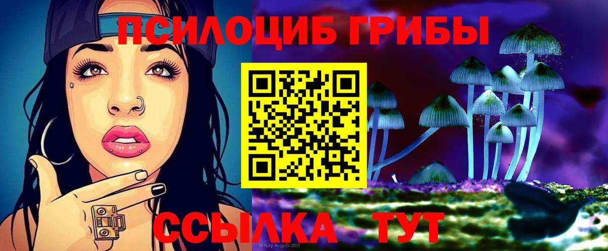 Галлюциногенные грибы прущие грибы Соль-Илецк